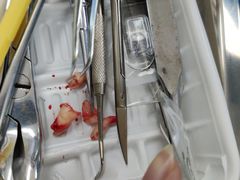 -上海市杨浦区牙病防治所