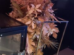 -黑桃K生日订制KTV