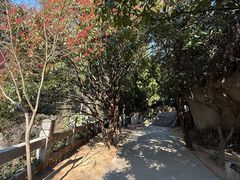 -青岛崂山太清宫