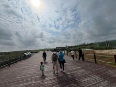 -盐城丹顶鹤湿地生态旅游区