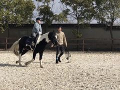 -松声马术俱乐部