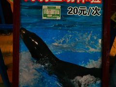 -太平洋海底世界