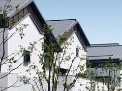 -青果巷历史文化街区