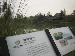 -桤木河湿地公园