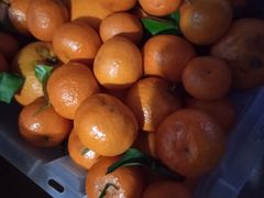 -百果园(徐东兴华店)