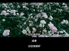 -睦南公园