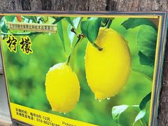 -呀路古热带植物园