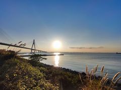 -芒洲湿地公园