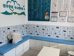 -守诺宠物医院·眼科· 特色牙科·异宠专科(虹口店)