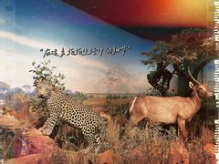 -陕西自然博物馆