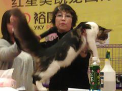 -红星美凯龙(上海沪南店)