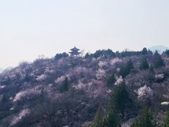 -白水寺森林公园