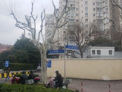 -上海旅游集散中心(万体站)