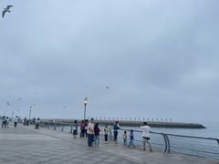 -东港音乐喷泉广场