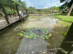 -中国科学院西双版纳热带植物园