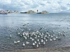 -青海湖二郎剑景区