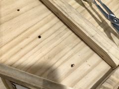 -杭州香格里拉·香宫中餐厅