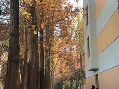 -浙江大学(玉泉校区)