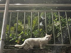 -广东食品药品职业学院(龙洞校区)