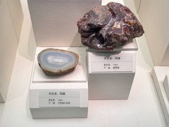 -天津自然博物馆