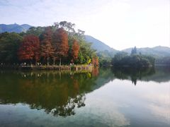 -深圳仙湖植物园