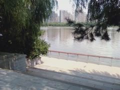 -长白岛森林公园