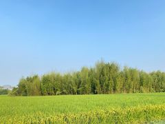 -良渚古城遗址公园
