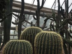 -南山植物园