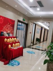 -碧莲盛·不剃发植发