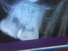 -中国医科大学附属口腔医院(第一门诊)