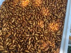 -南沙十九涌渔人码头-南门