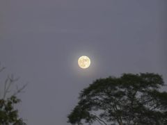 -维乐口腔医院(星海湾分院)