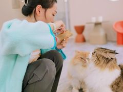 -More Fun猫咖 二十只万元加菲主题