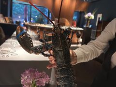 -Oyster Talks 四度蚝法餐厅