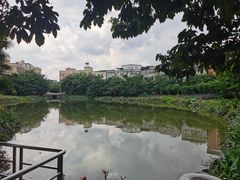 -黄埔古港
