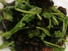 -新南华大酒店(广中店)