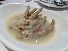 -千灯盛汇·头牌粤菜(致越优城店)