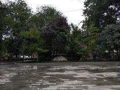 -莲湖公园