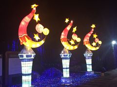 -杭州湾海上花田景区