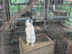 -草根堂农场