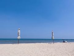 -日照海滨国家森林公园
