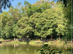 -深圳仙湖植物园