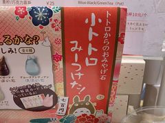 -猫的天空之城概念书店(束河店)