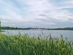 -东湖落雁景区