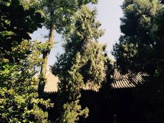 -成都武侯祠博物馆