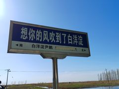 -白洋淀景区