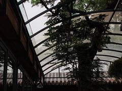 -zarah(鼓楼店)