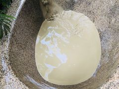 -100蛋泥浆浴