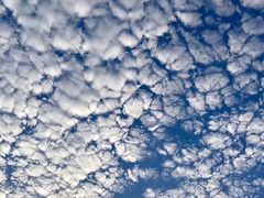 -中央广播电视总台(光华路办公区)