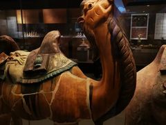 -西安大唐西市博物馆